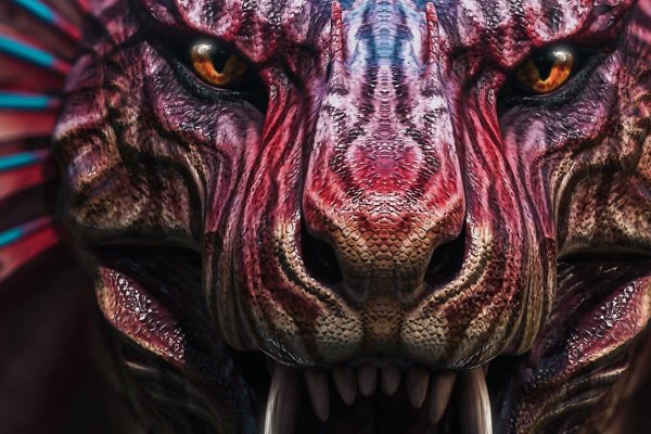 Кракен ссылка 2web krakendark link