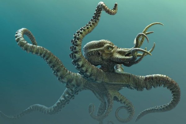 Актуальное зеркало kraken kraken zerkalo