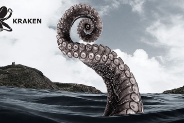 Kraken org